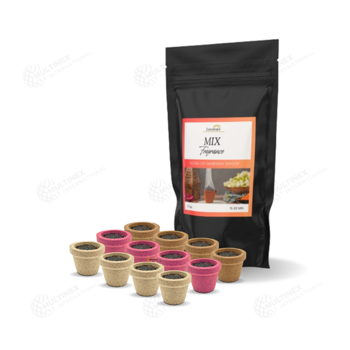 [MI-SIC04] Mix Fragrance Sambrani Incense Cup