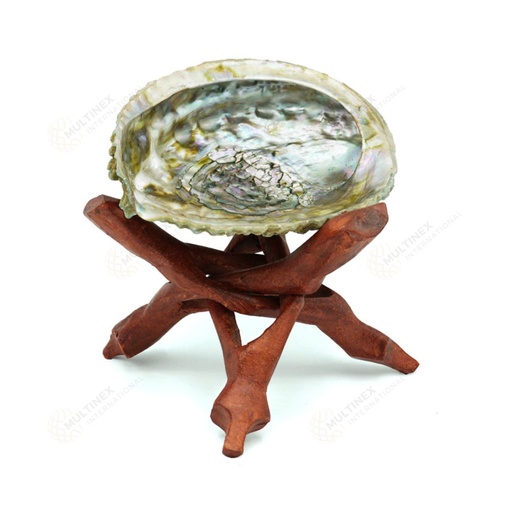 Abalone Shell With Stand
